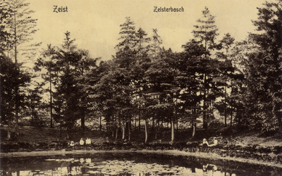 16316 Gezicht op de ronde vijver met naaldbomen bij het Groene Bergje in het Zeister Bosch te Zeist.